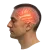 Categorías