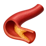 Colesterol