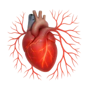 Enfermedades cardiovasculares