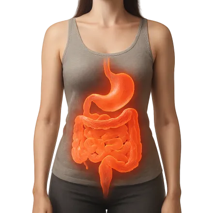 Medicamentos para el Gastrointestinal