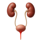 Infección urinaria