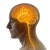 Categorías