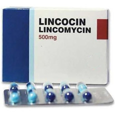Lincocin 500 mg comprimidos