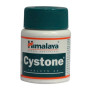 Cystone 446 mg comprimidos